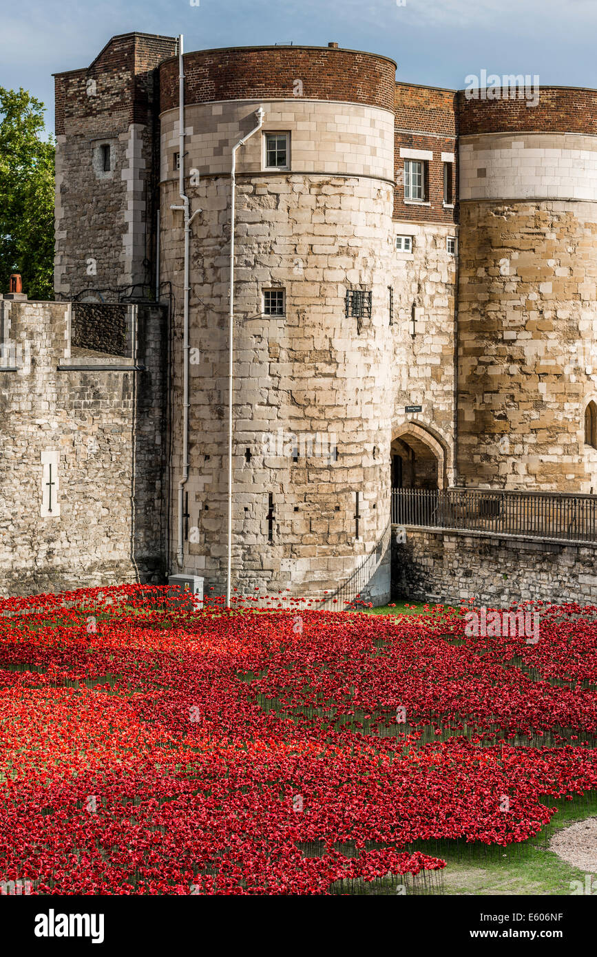 Anlässlich die Hundertjahrfeier des ersten Weltkrieges wurden Tausende von Keramik Mohnblumen in den Wassergraben des Tower of London platziert Stockfoto