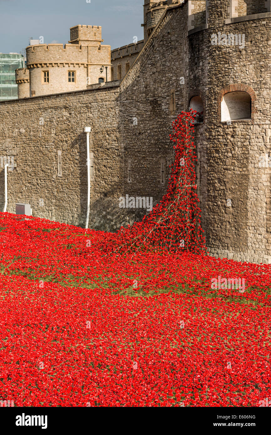 Anlässlich die Hundertjahrfeier des ersten Weltkrieges wurden Tausende von Keramik Mohnblumen in den Wassergraben des Tower of London platziert Stockfoto
