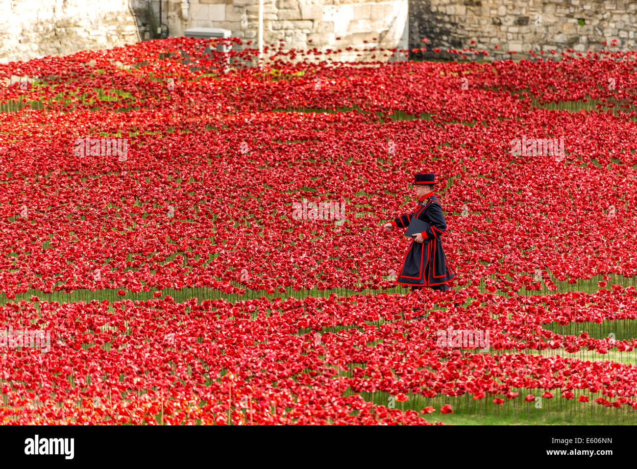 Ein Beefeater Spaziergänge durch ein Feld von Keramik Mohnblumen in den Tower of London in Erinnerung an den ersten Weltkrieg Stockfoto
