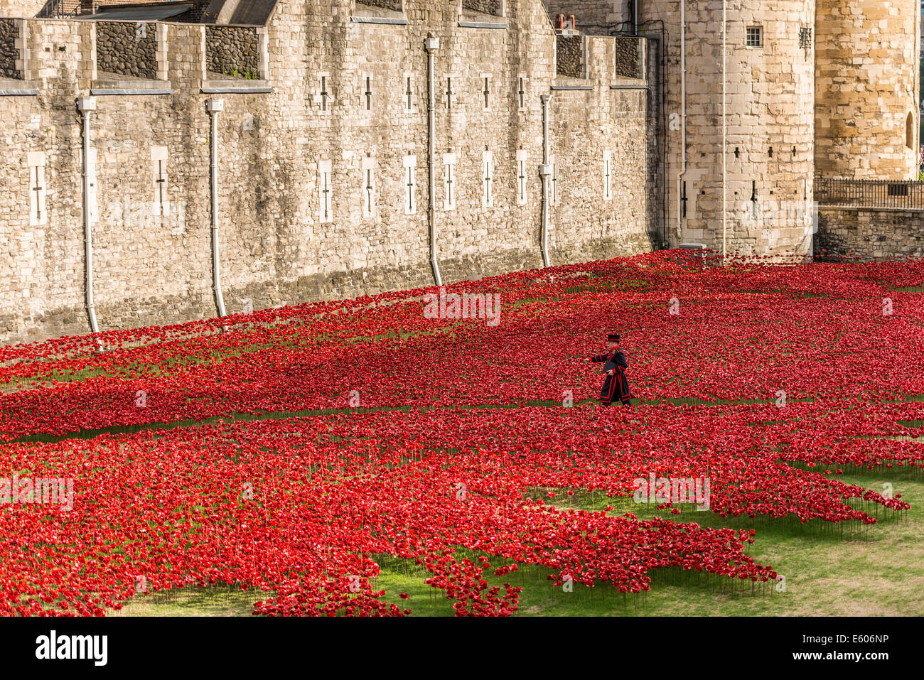 Ein Beefeater Spaziergänge durch ein Feld von Keramik Mohnblumen in den Tower of London in Erinnerung an den ersten Weltkrieg Stockfoto
