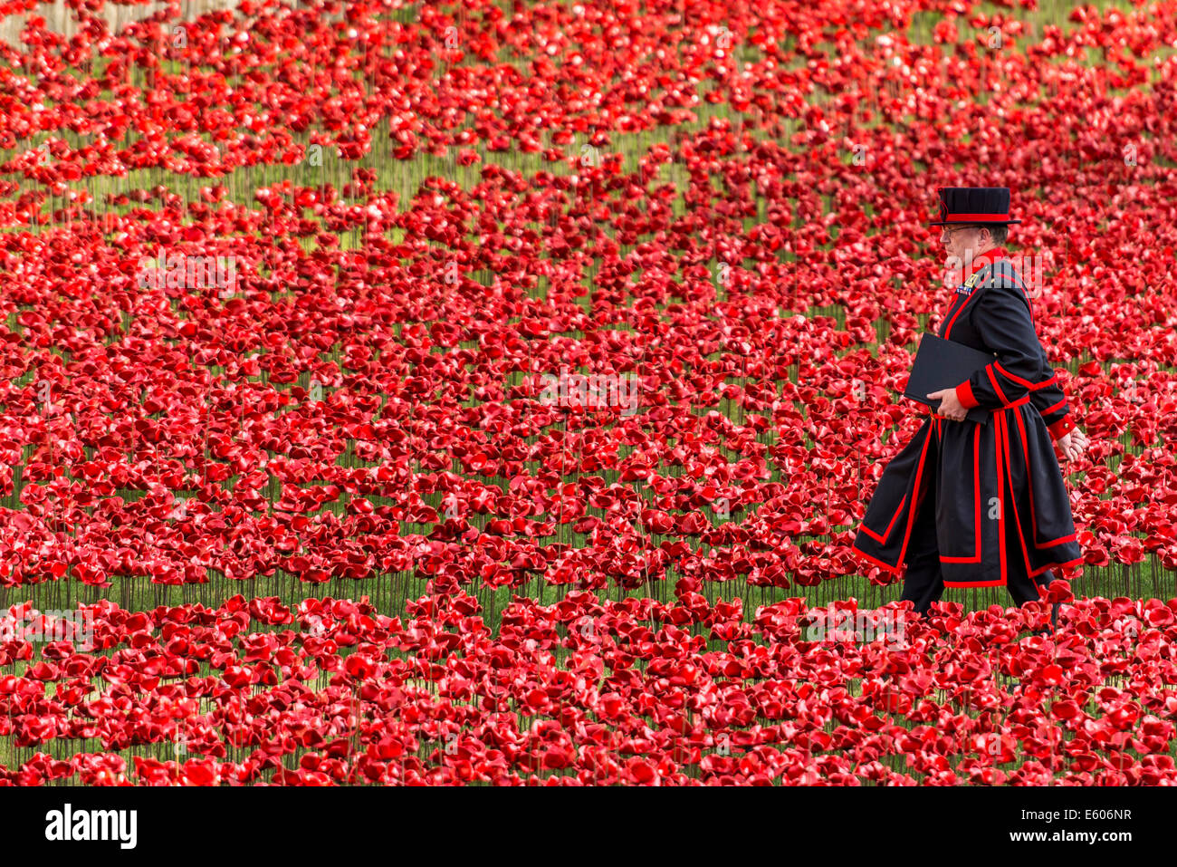 Ein Beefeater Spaziergänge durch ein Feld von Keramik Mohnblumen in den Tower of London in Erinnerung an den ersten Weltkrieg Stockfoto