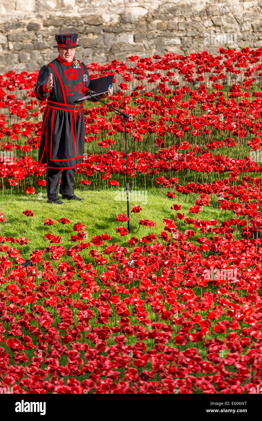 Anlässlich die Hundertjahrfeier des ersten Weltkrieges wurden Tausende von Keramik Mohnblumen in den Wassergraben des Tower of London platziert Stockfoto