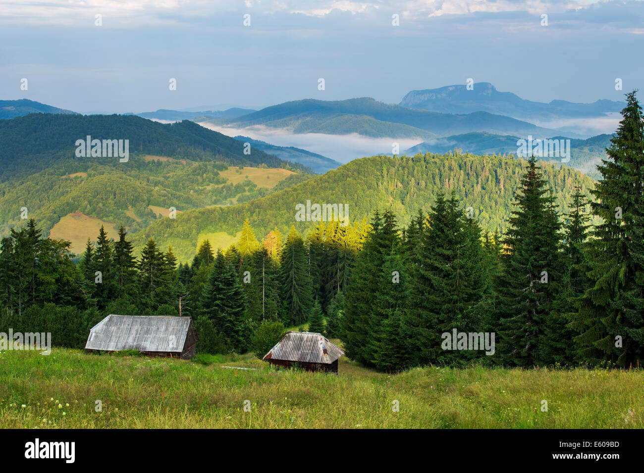 Morgen Sommer Landschaft im Apuseni Berge-Rumänien Stockfoto