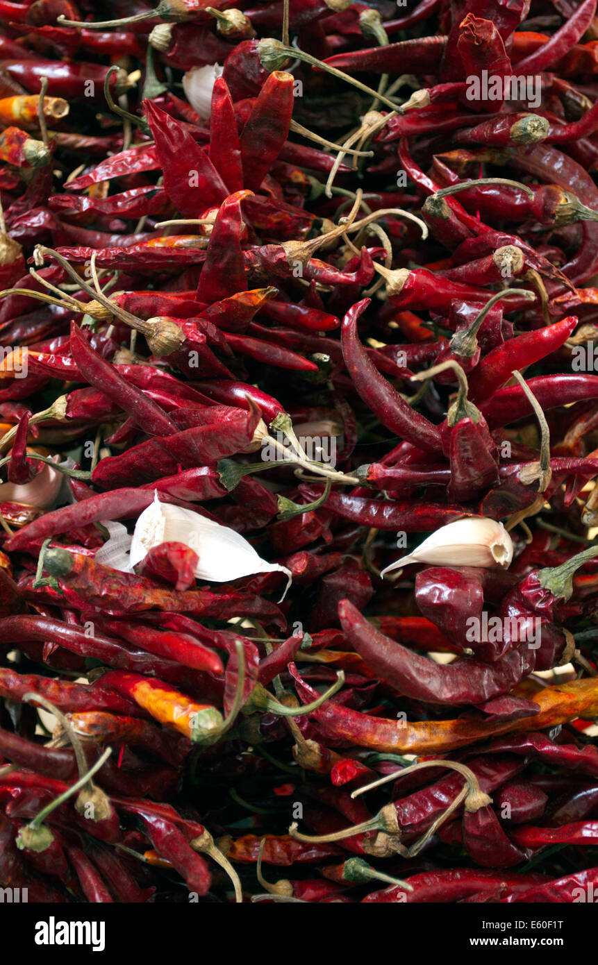 Rote Chili und Knoblauch, Isolated On White Background Stockfoto