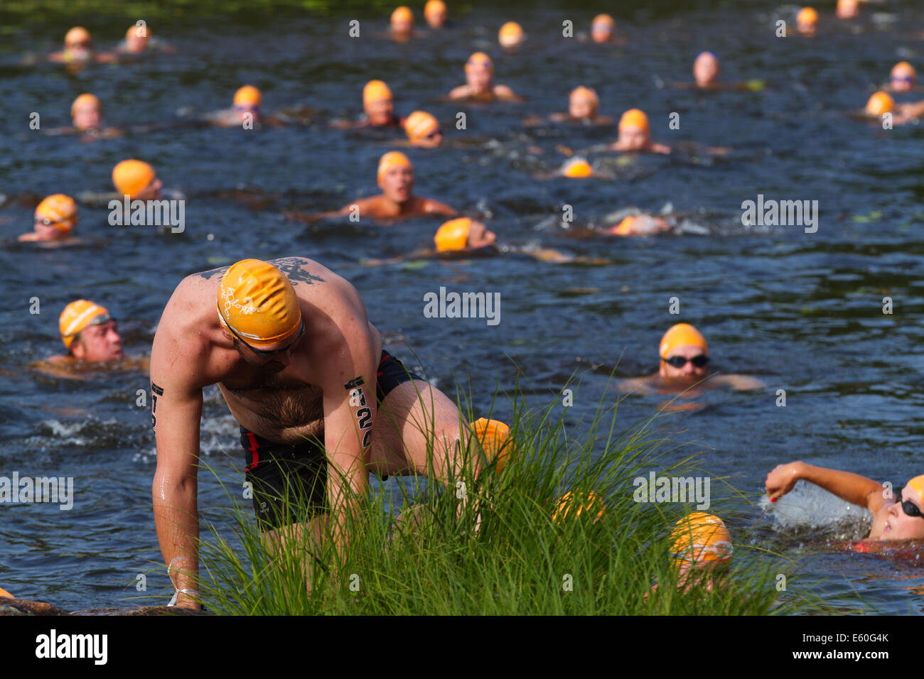 Menschen, die im Wettbewerb mit Ångaloppet, einen Swimrun-Wettbewerb, wo Sie an Land laufen und Schwimmen in Seen und im Meer mehrmals. Stockfoto