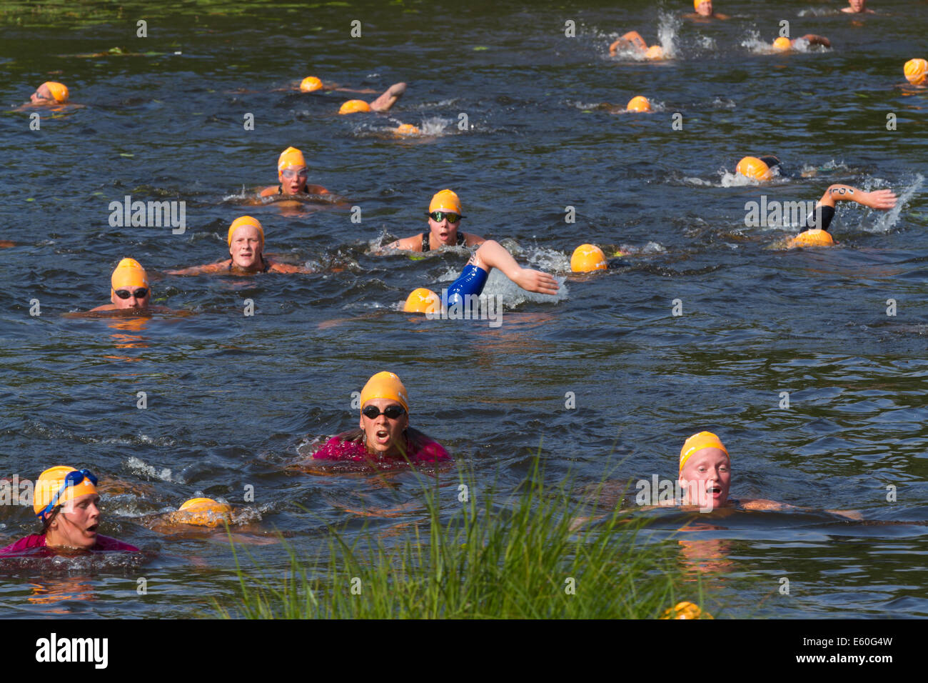 Menschen, die im Wettbewerb mit Ångaloppet, einen Swimrun-Wettbewerb, wo Sie an Land laufen und Schwimmen in Seen und im Meer mehrmals. Stockfoto