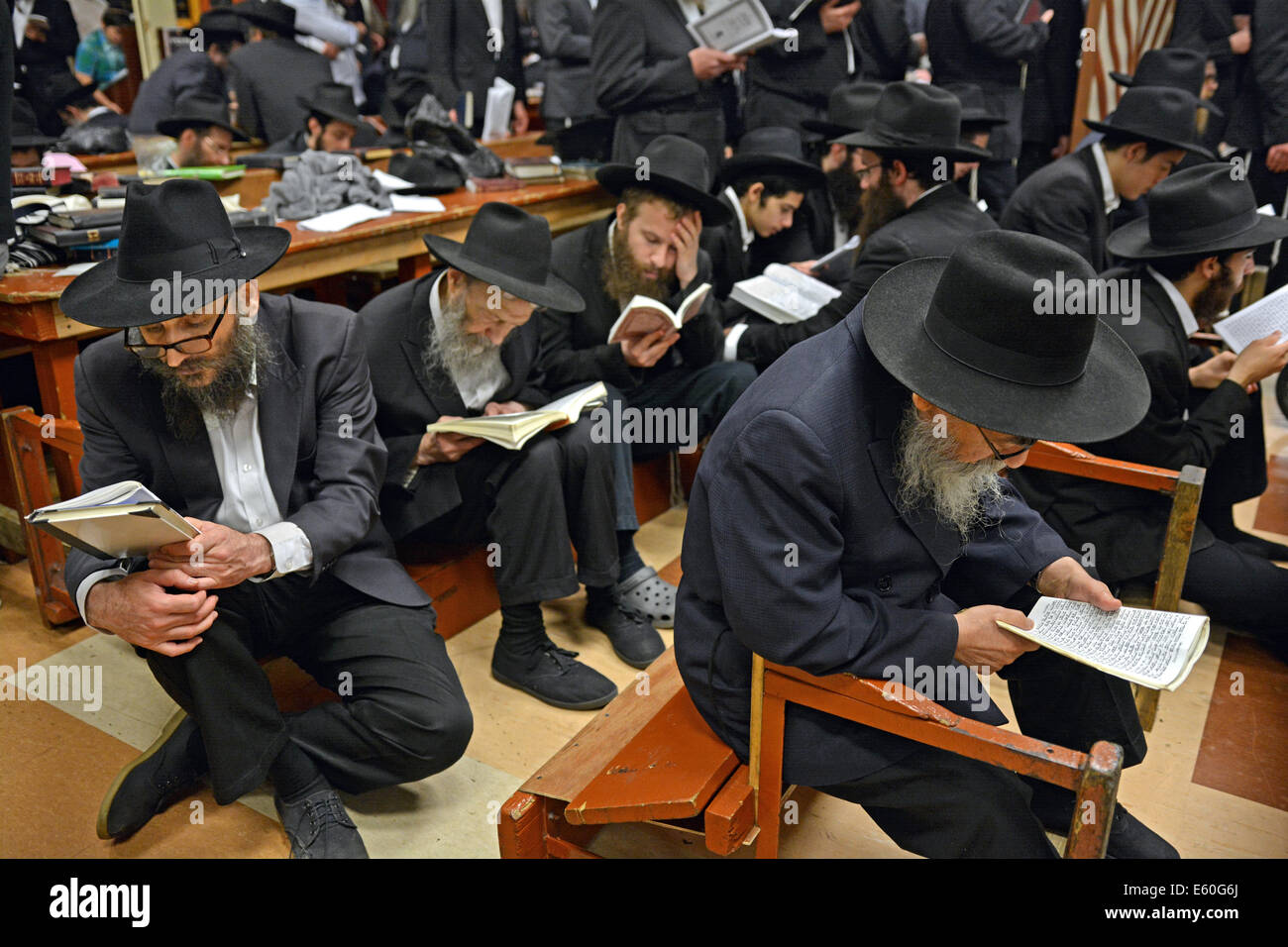 Jüdische Männer beten auf Tisha B'Av und folgen der Tradition, auf niedrigen Sitzen zu sitzen. In einer Synagoge in Brooklyn, New York. Stockfoto