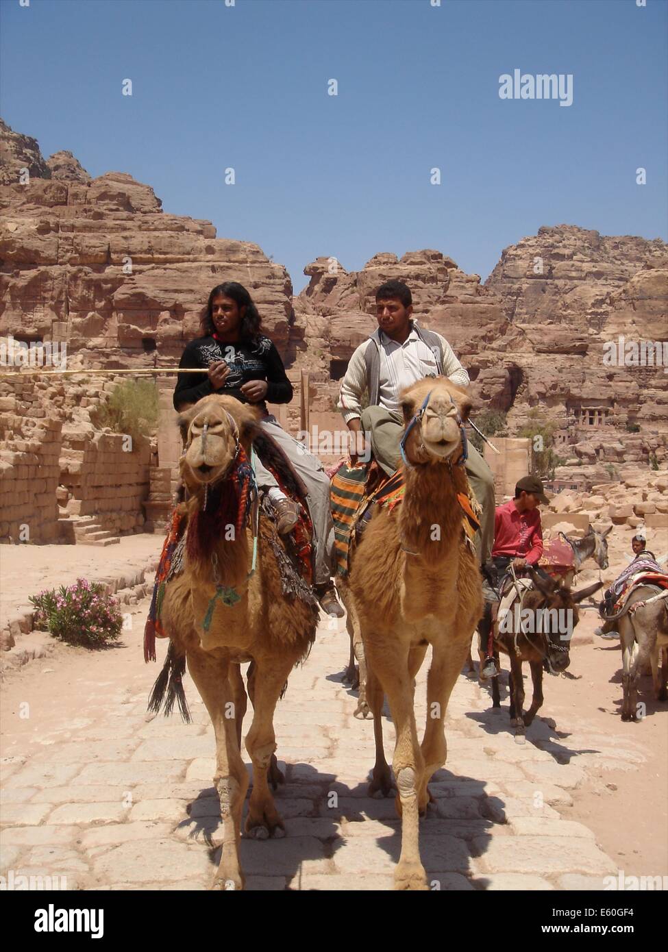 Einheimische Männer mit Kamelreiten für Touristen bei Petra, Jordanien Stockfoto