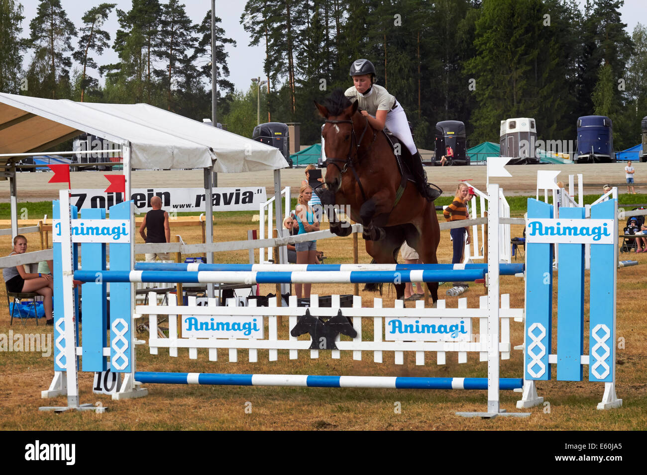 Springreiten-Pferd, Lappeenranta, Finnland Stockfoto