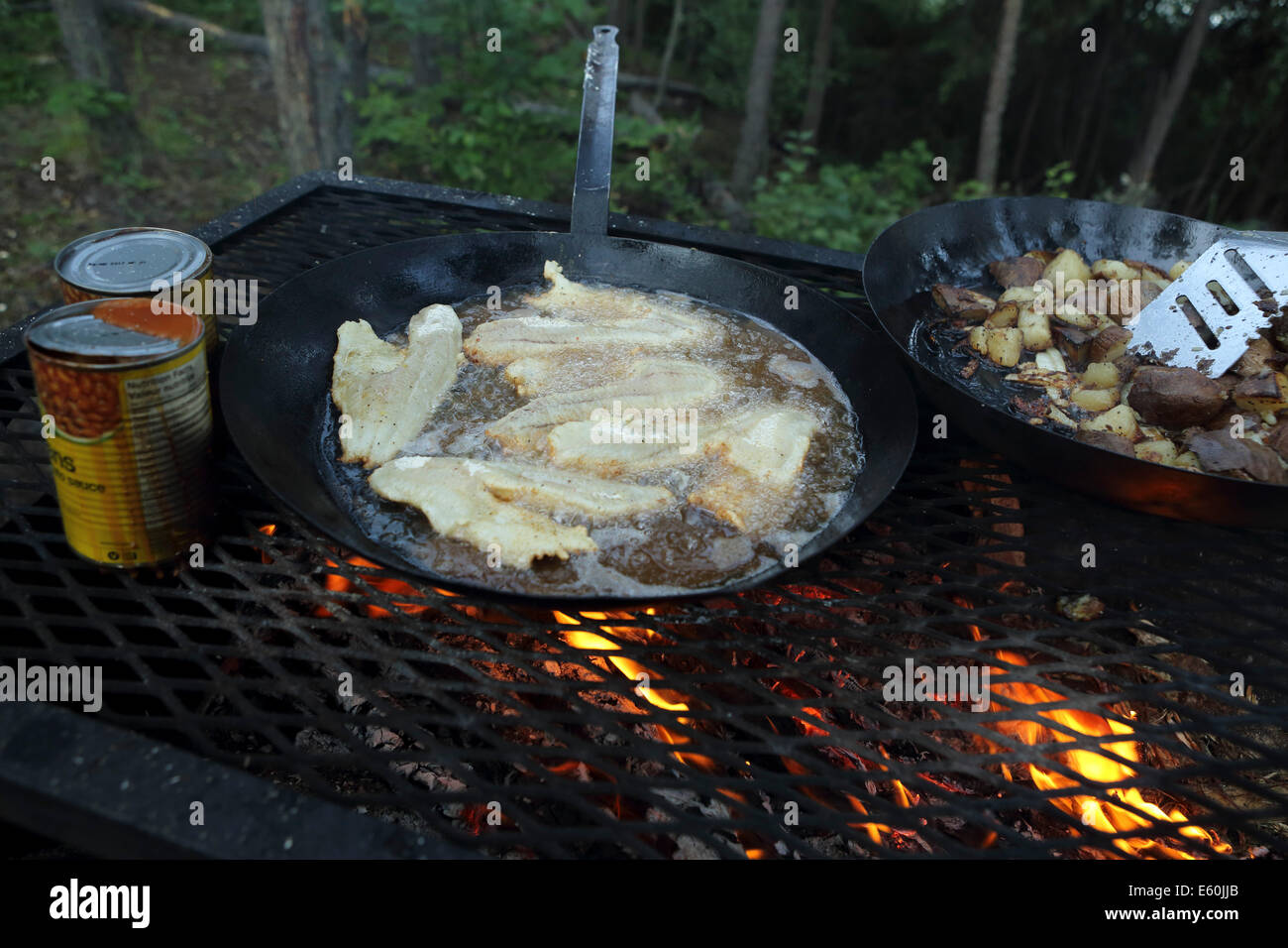 Ein See Ufer Abendessen am Otter Lake in der Nähe von Missinipe, Saskatchewan, Kanada. Stockfoto