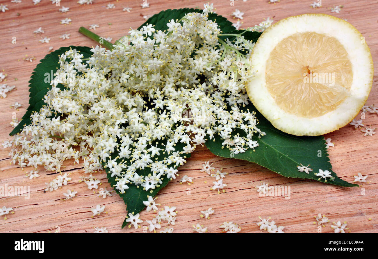 Gesundheit-Holunder-Blüten und Zitronen auf einem Holztisch Stockfoto