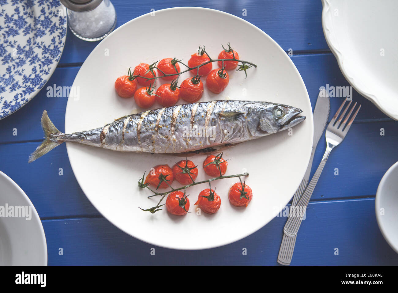 ein Teller mit frischen Makrele Stockfoto