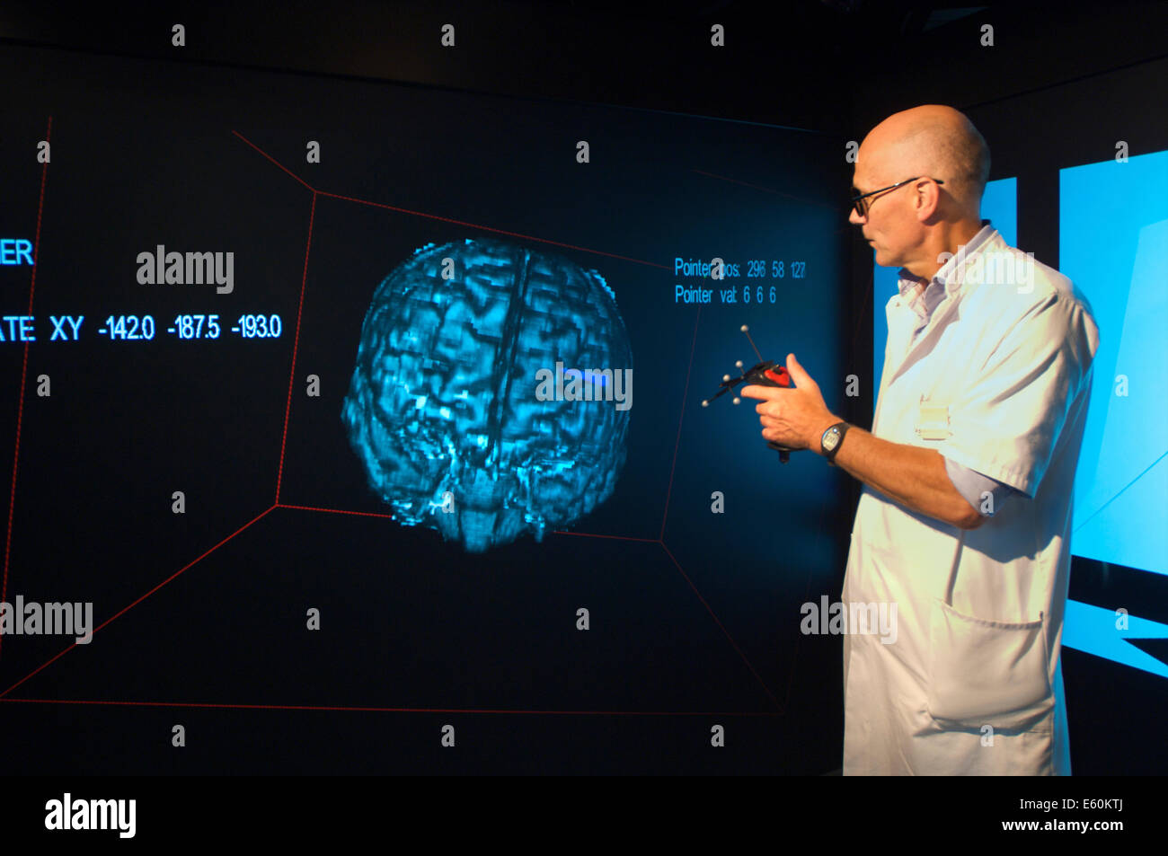 Facharzt im Bereich wo die Zirbeldrüse sich auf einem virtuellen 3D Bild eines Gehirns befindet zeigen Stockfoto