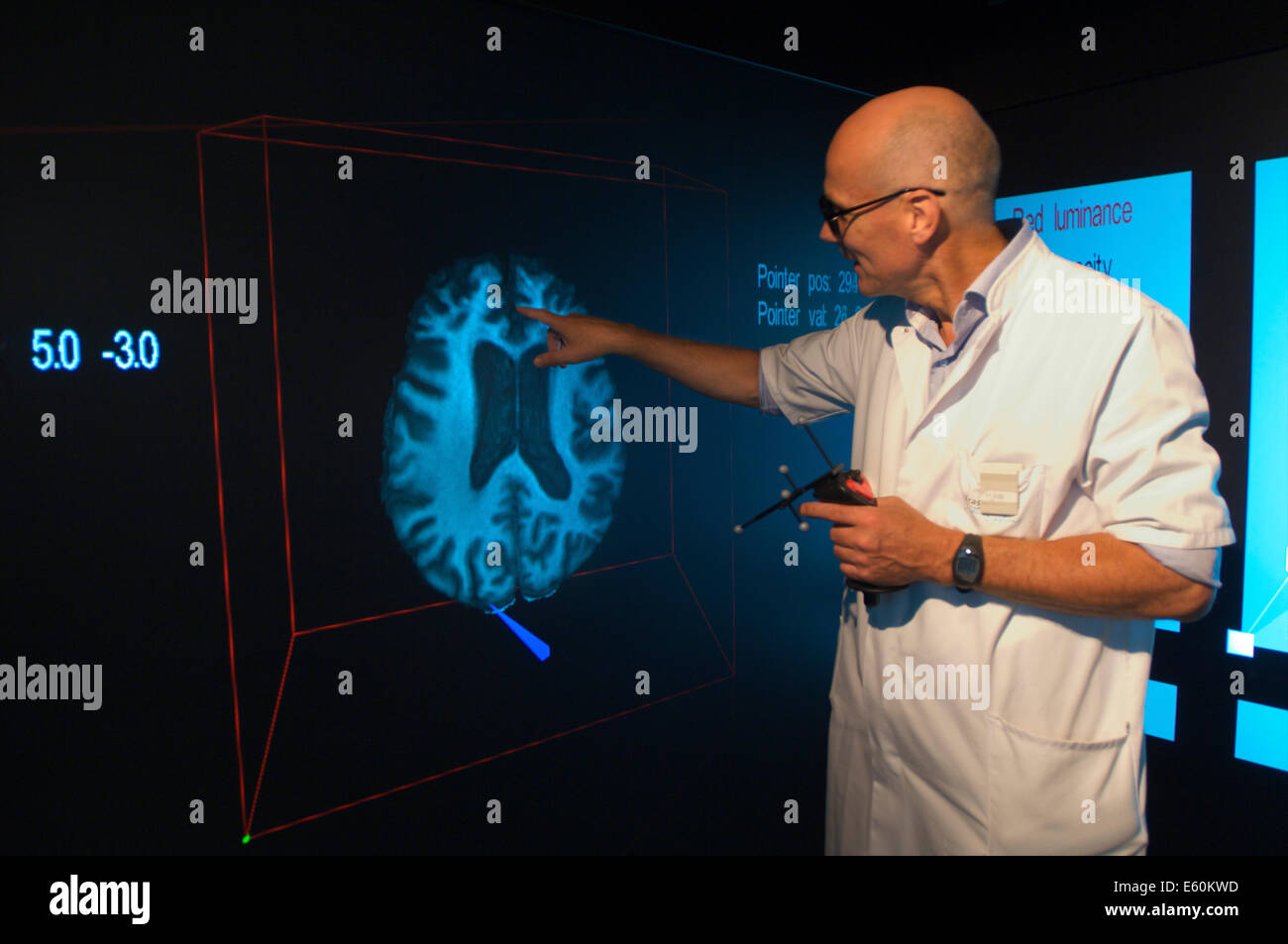 Facharzt im Bereich wo die Zirbeldrüse sich auf einem virtuellen 3D Bild eines Gehirns befindet zeigen Stockfoto