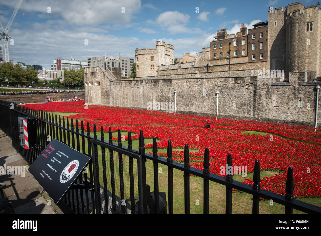 Gesamtansicht des Grabens der Tower of London mit dem Mohn Stockfoto