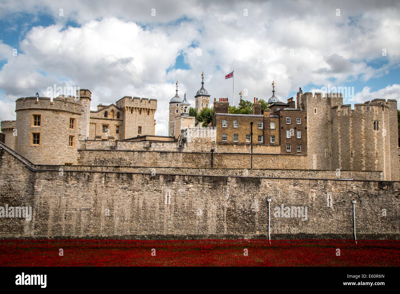 Tower von London mit der Mohnblumen Stockfoto