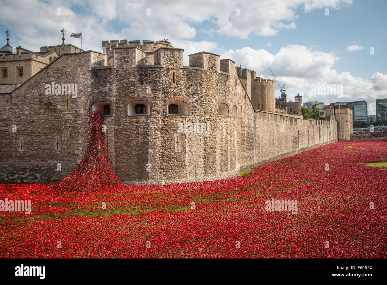 Gesamtansicht des Grabens des Tower of London Mit den Mohnblumen und dem „weinenden Fenster“ Stockfoto