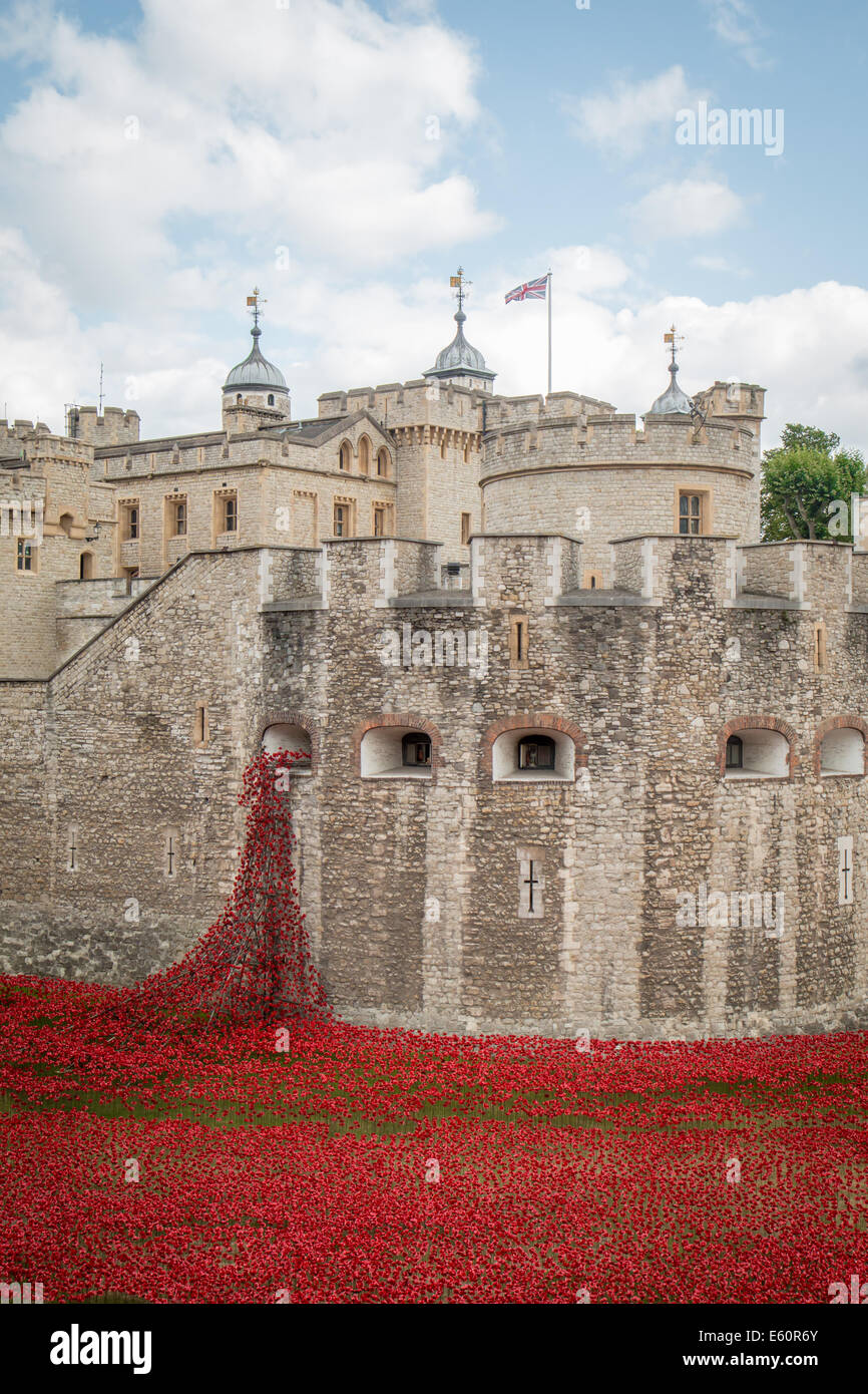 Tower of London mit den Mohnblumen und dem „weinenden Fenster“ Stockfoto