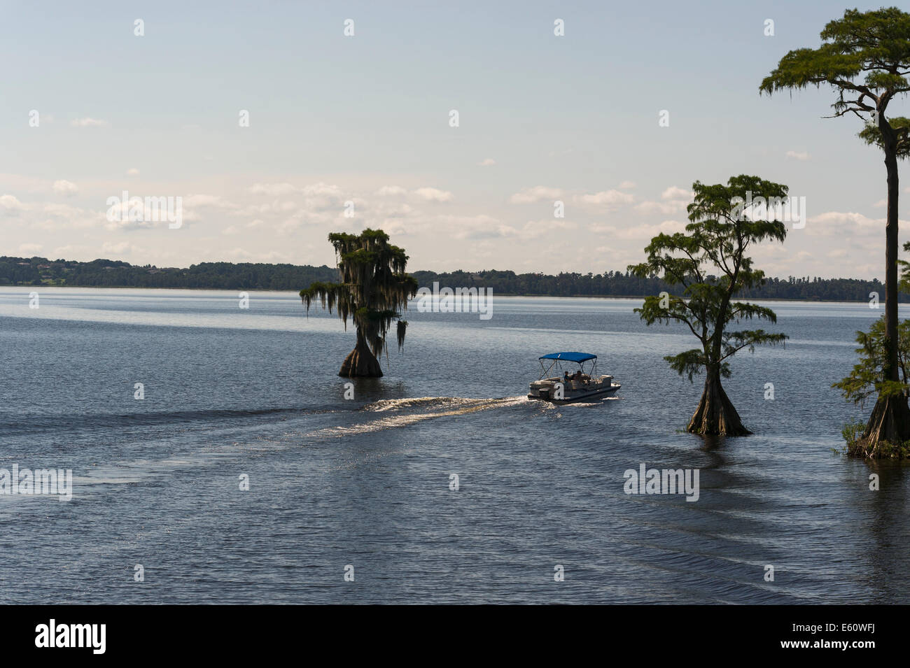 Bootfahrt durch Cypress Cove in Clermont, Florida USA Stockfoto