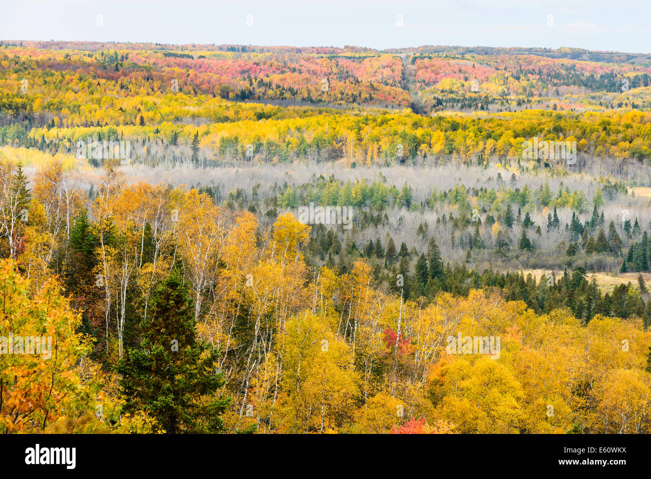 Herbst Farben das Tal unterhalb der Wrenshall Scenic Overlook. Stockfoto