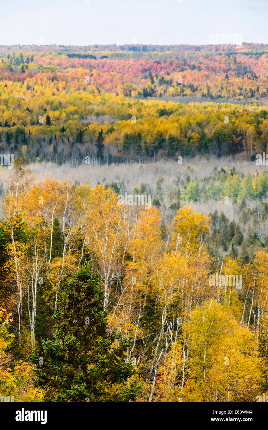 Herbst Farben das Tal unterhalb der Wrenshall Scenic Overlook. Stockfoto