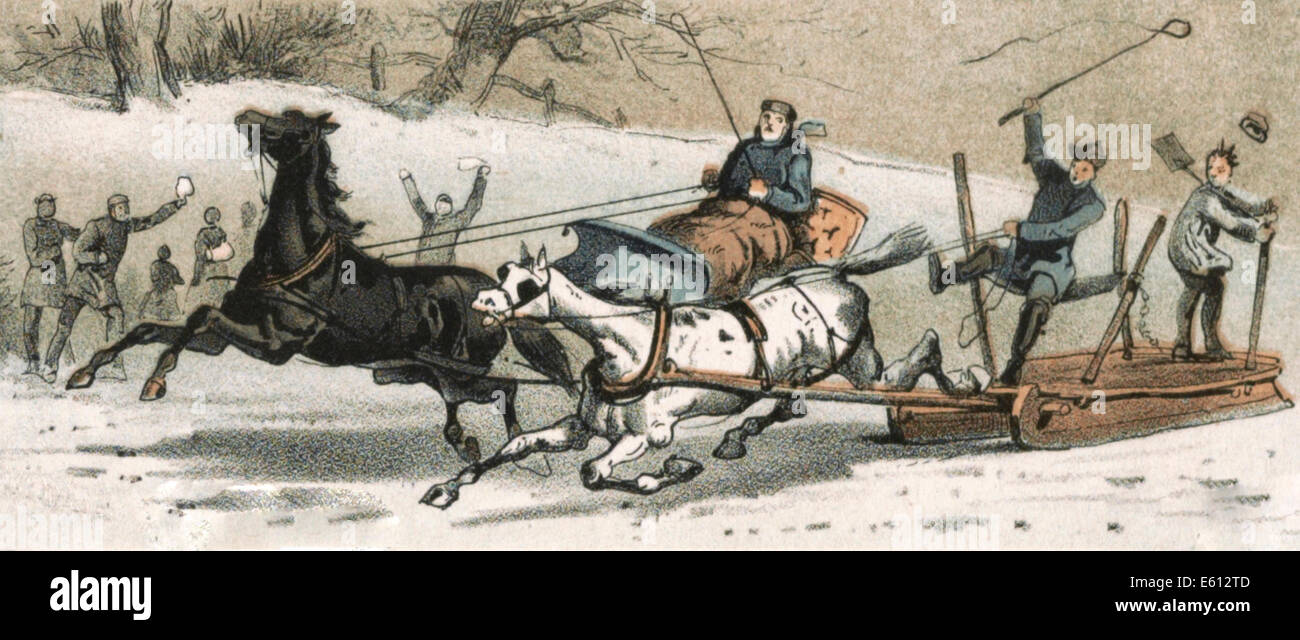 Blut wird sagen - Pferd zwei gezogene Schlitten verstrickt während einer Fahrt mit dem Pferdeschlitten Stockfoto