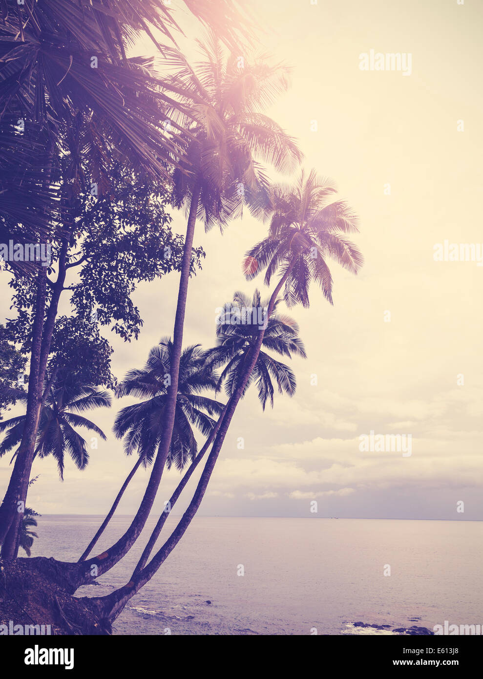 Vintage stilisierte tropischen Strand mit Palme bei Sonnenuntergang Stockfoto