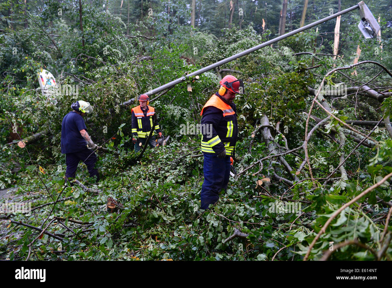 Bad Schwalbach, Deutschland. 10. August 2014. Feuerwehrleute arbeiten über die Aufhebung der umgestürzte Bäume von den Straßen in der Nähe von Bad Schwalbach, Deutschland, 10. August 2014. Ein Tornado gemeinsam mit einer regen Sturm verursachte Schäden in Millionenhöhe in den Kurort. Zahlreiche Autos wurden beschädigt, Dächer der Häuser abgenommen und Waldflächen zerstört. Foto: Boris Roessler/Dpa/Alamy Live News Stockfoto