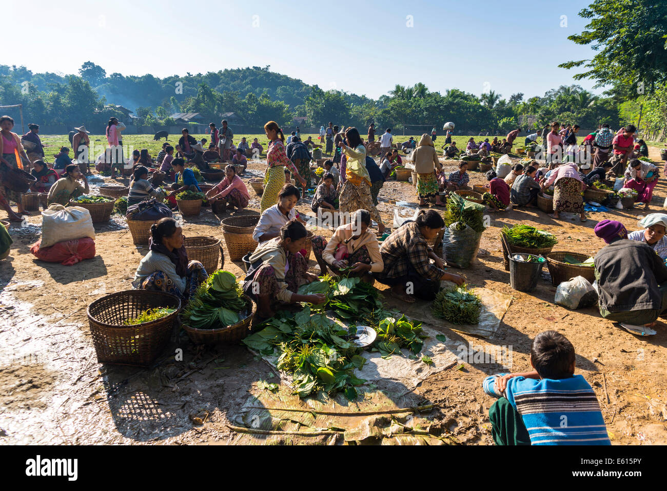 Leute verkaufen Betelnüsse auf einem Markt in dem Dorf von Pan Mraun, Sittwe District, Rakhine State, Myanmar Stockfoto