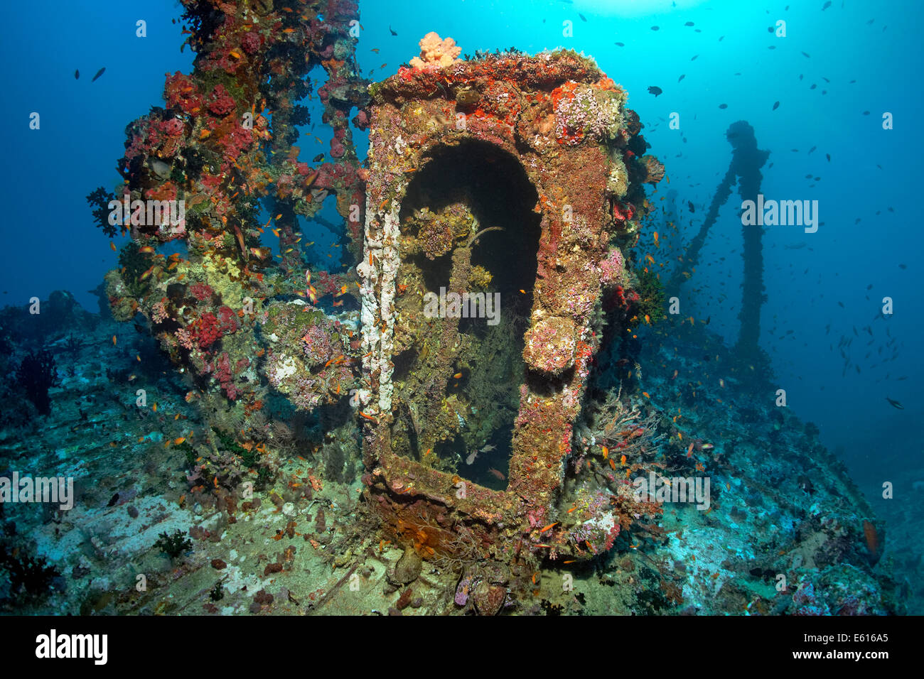 Versenden Sie Aufbauten an Skipjack II, "Die Werft" Tauchen Website, Lhaviyani Atoll, Indischer Ozean, Malediven Stockfoto