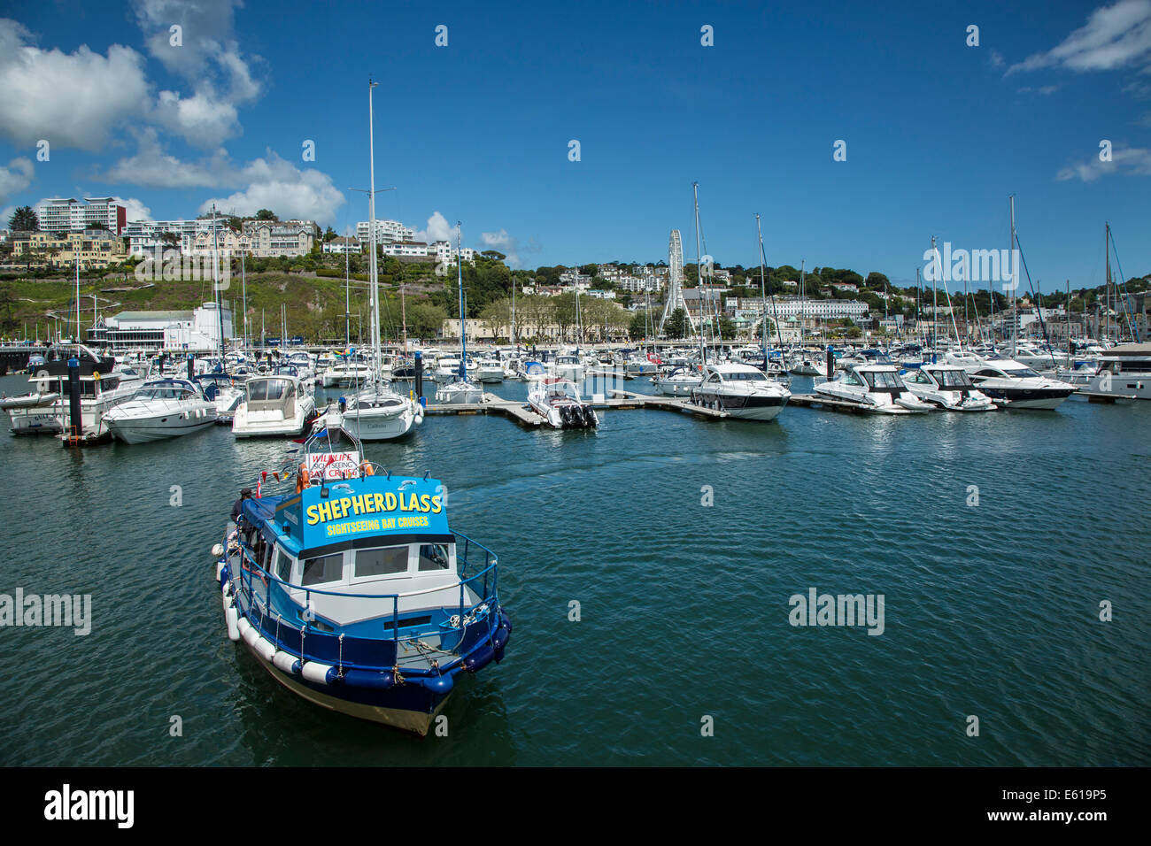 Hafen von Torquay, Devon Stockfoto