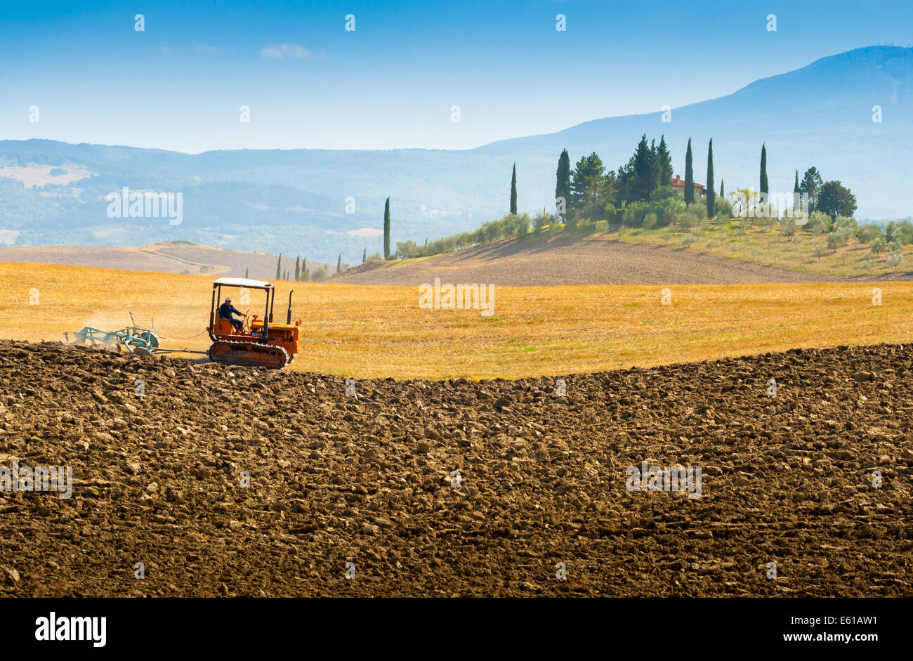 Pflügen auf Hügeln in Crete Senesi in der Nähe von Asciano, Toskana, Italien Stockfoto