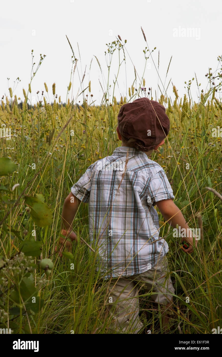 Ein kleiner Junge zu Fuß hohen Gras am Rand des Kornfeld Stockfoto
