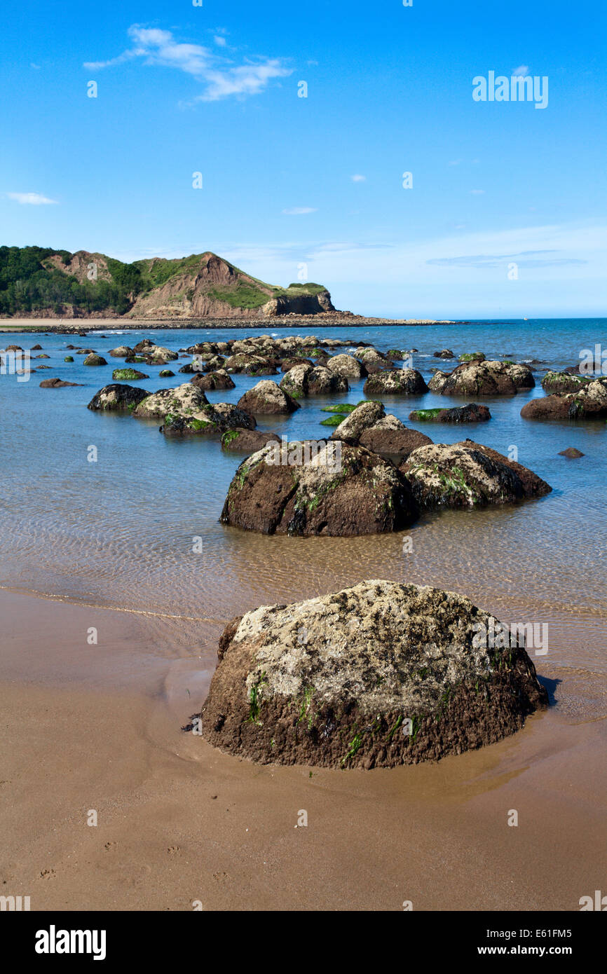 Felsen entlang der Küste zu einem Osgodby Zeitpunkt oder Knipe Punkt Cayton Bay Scarborough North Yorkshire England Stockfoto