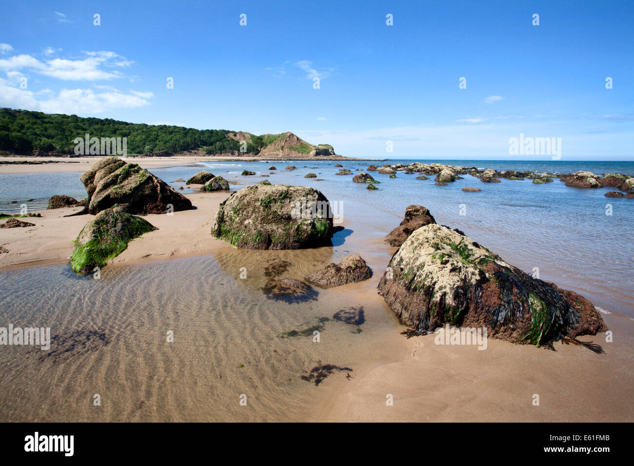 Felsen entlang der Küste zu einem Osgodby Zeitpunkt oder Knipe Punkt Cayton Bay Scarborough North Yorkshire England Stockfoto