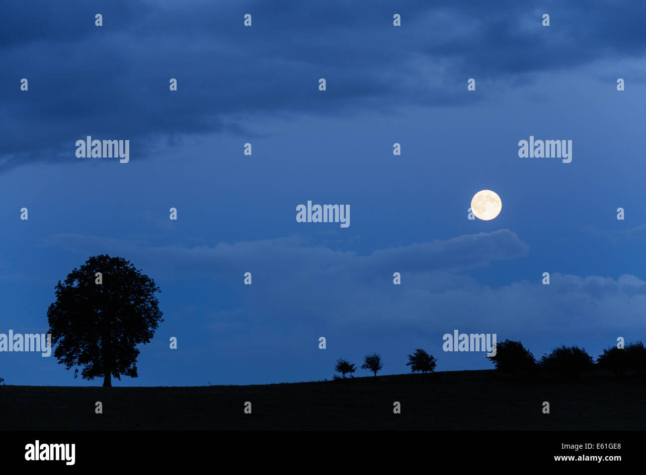 Supermoon. Ein Nachtstück Silhouette und die volle "super Moon" - der Mond an der engsten Stelle auf die Erde im Jahr 2014. Stockfoto