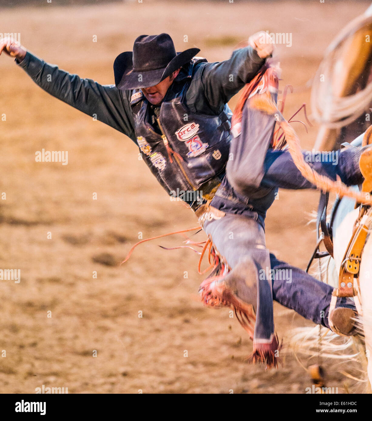 Cowboy auf einem Pferd im Sattel Bronc Wettbewerb, Chaffee County Fair & Rodeo Stockfoto