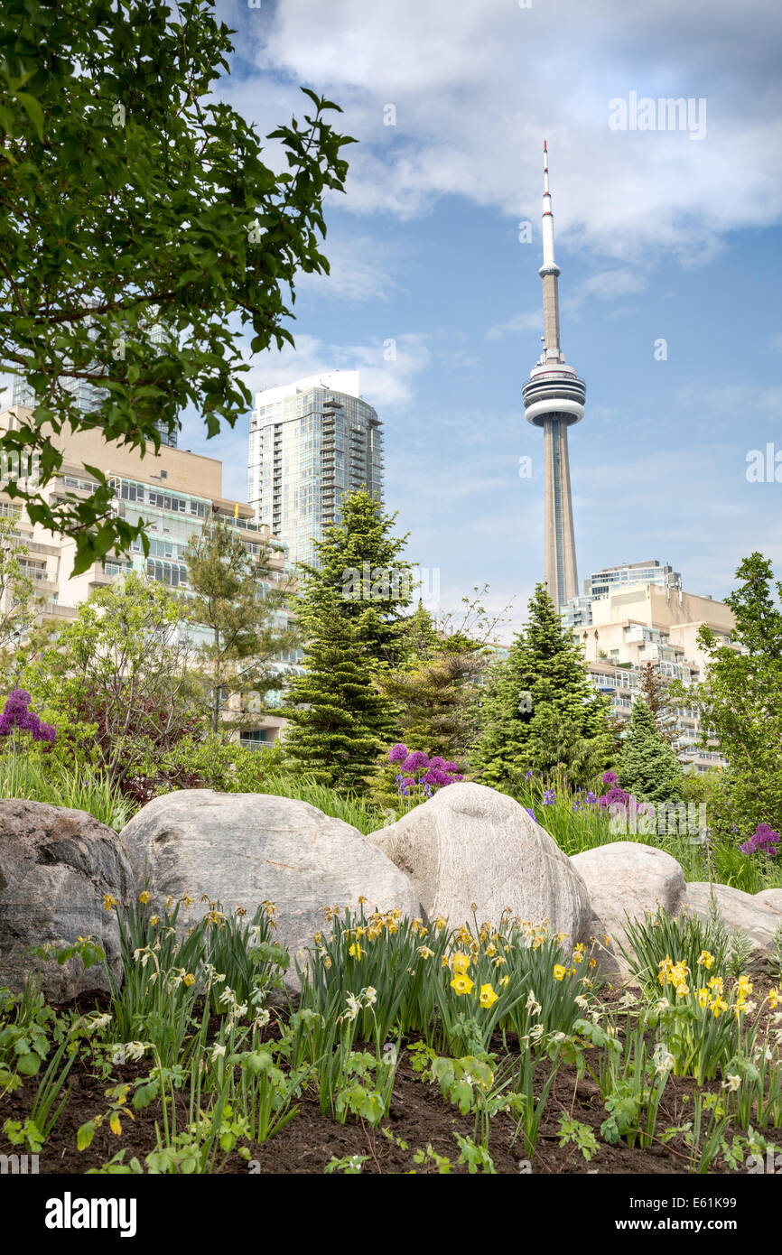 Toronto CN Tower, Toronto, Ontario, Kanada, Nordamerika. Stockfoto