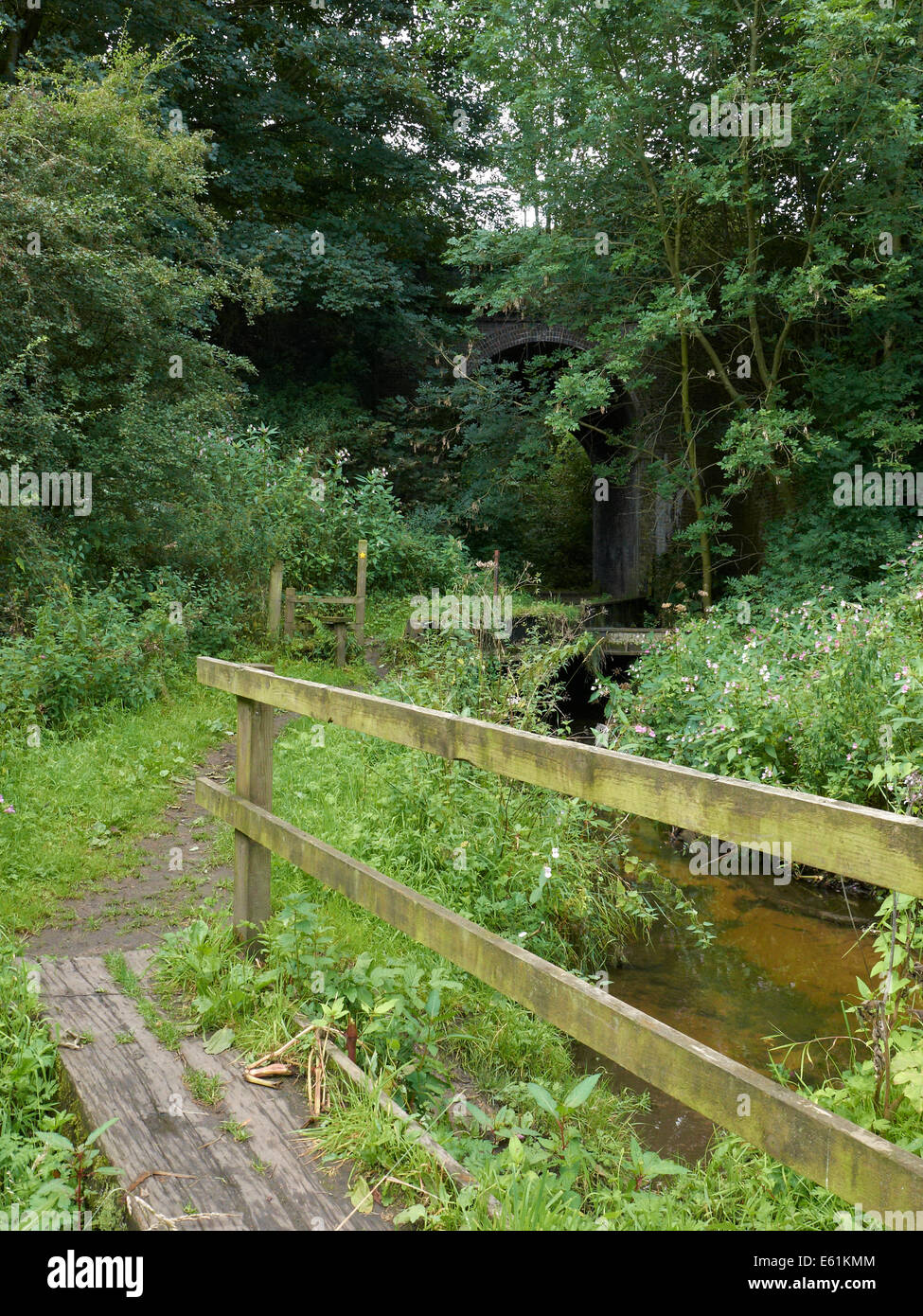 Überwucherten öffentlichen Fußweg mit Steg und Bahn Bogen in der Nähe von Sandbach in Cheshire UK Stockfoto