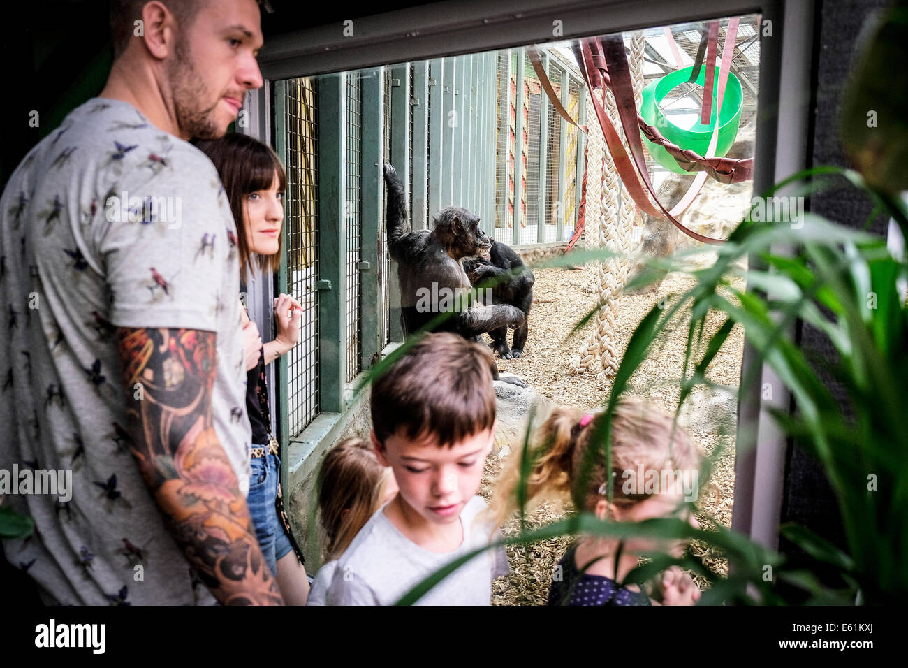 Menschen, die Tiere in einem Zoo zu betrachten. Stockfoto