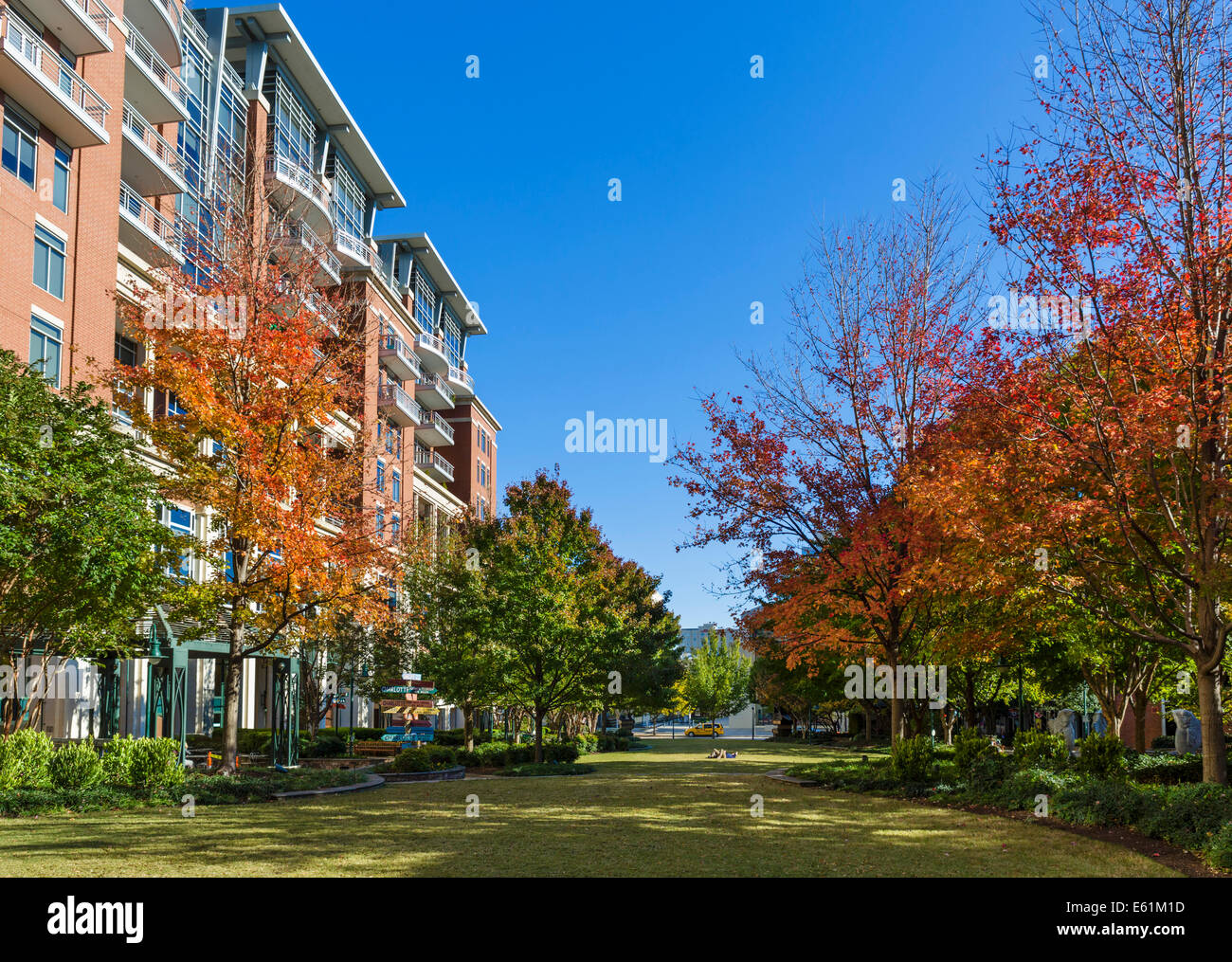 Das Grün direkt an der South Tryon Street in der Innenstadt von Charlotte, North Carolina, USA Stockfoto