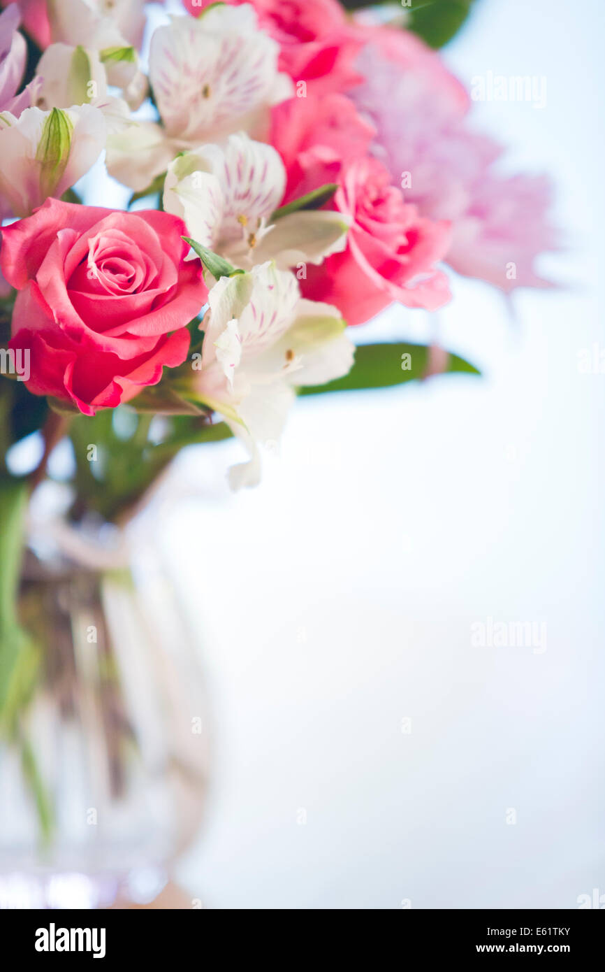 Blumen in vase Stockfoto