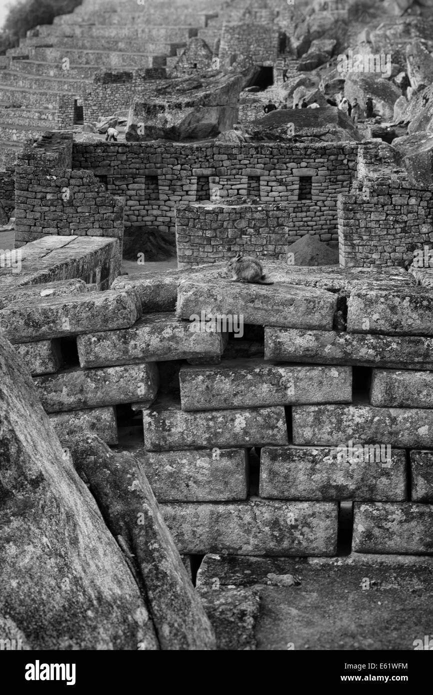 MACHU PICHU, PERU 2014 Stockfoto