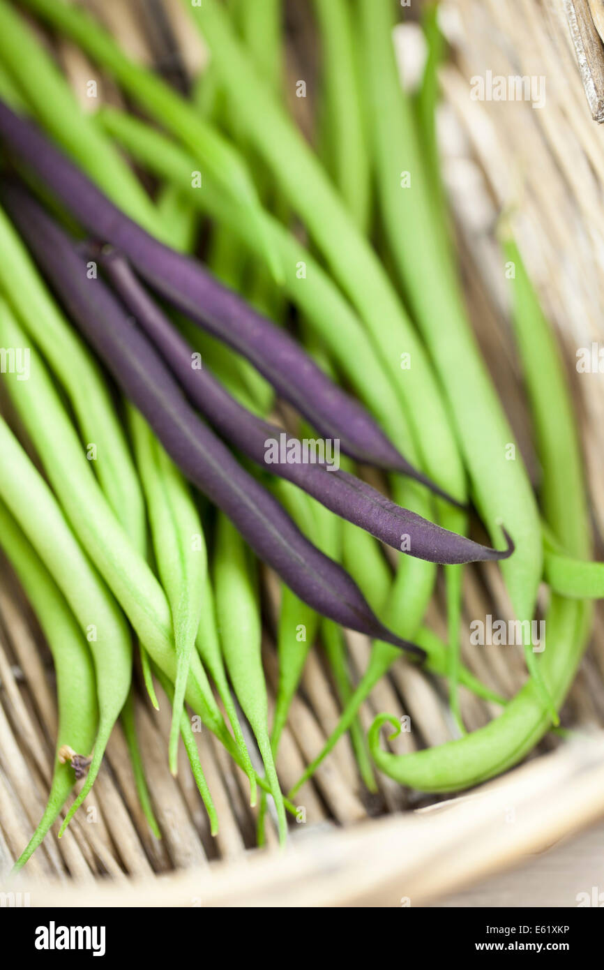 Grüne Bohnen in Korb Stockfoto