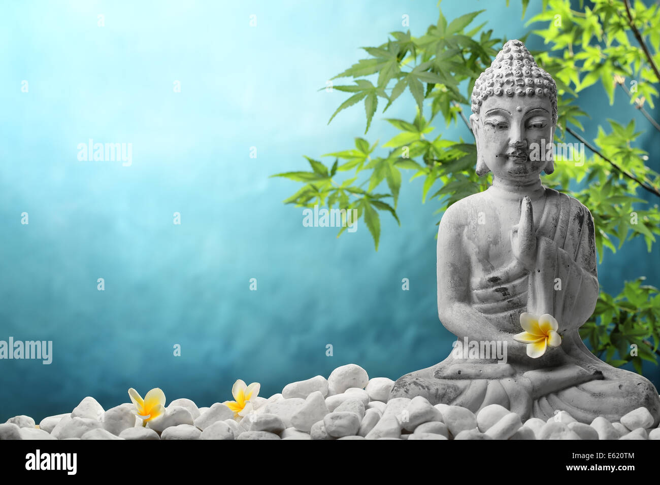 Buddha in Meditation mit Zen-Steinen und Blume. Stockfoto