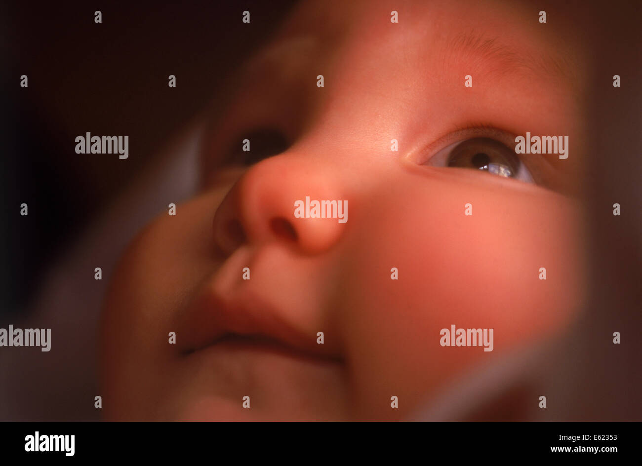 Nahaufnahme von 3 bis 6 Monate altes baby Stockfoto