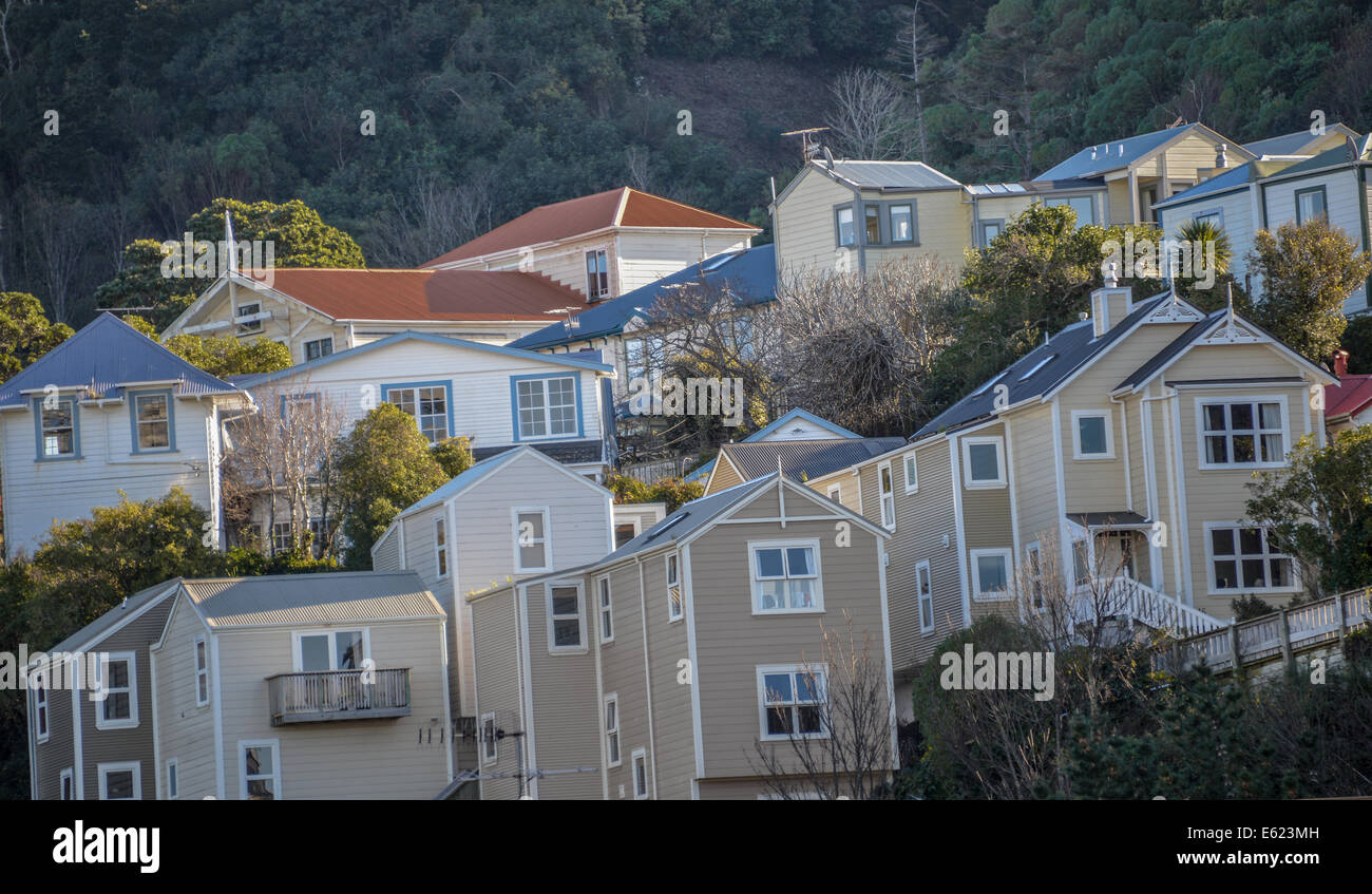 typische alte Häuser in Wellington New Zealand Ascot Street Holzkonstruktion auf Hügel Stockfoto