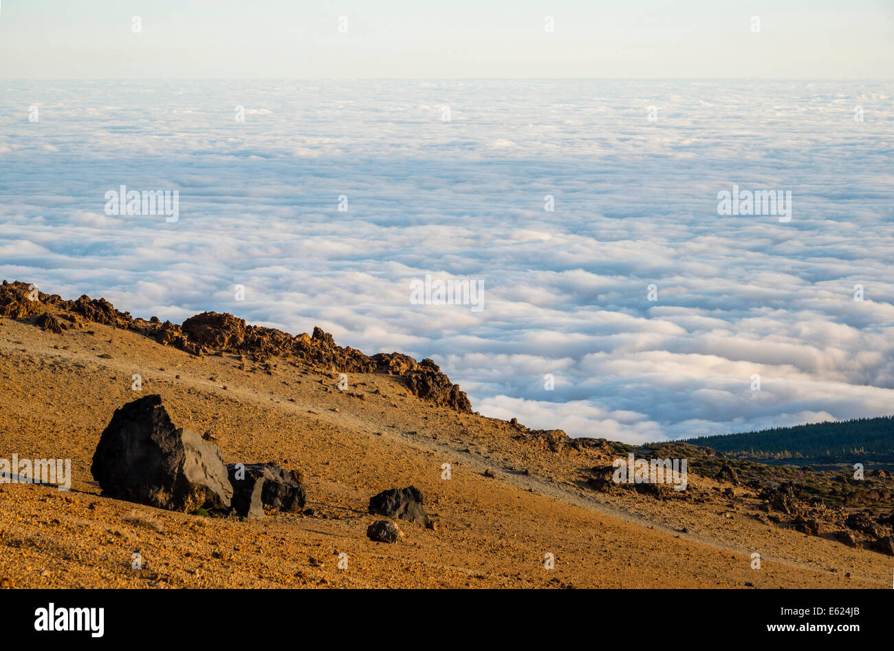 Huevos del Teide, Eiern des Teide, Lavafelsen, Montana Blanca, Pico del Teide, 3718 m, Parque Nacional de Las Cañadas del Teide Stockfoto
