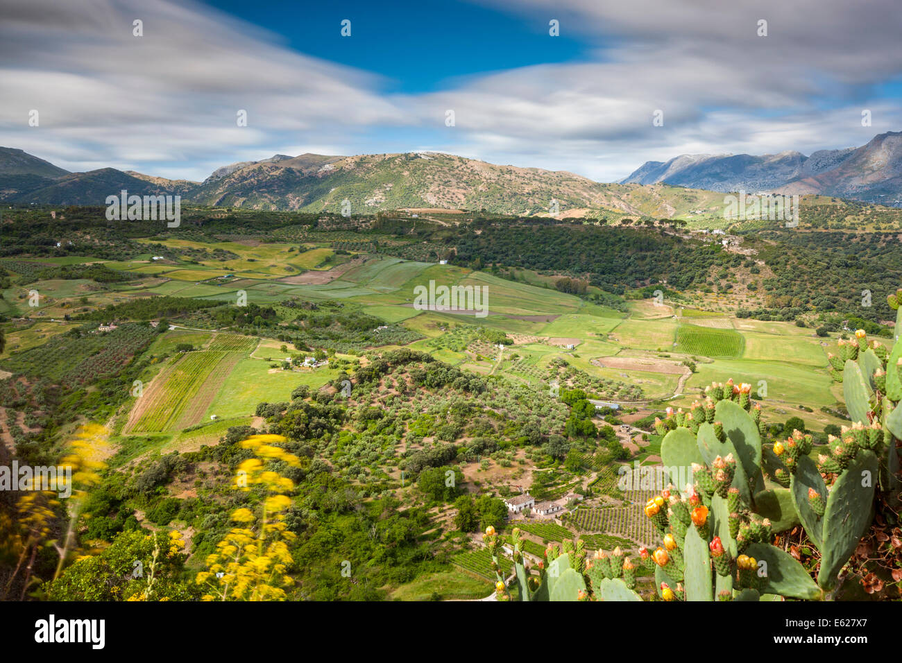 Landschaft in der Nähe von Ronda aus Alameda del Tajo, Ronda, Malaga Provinz, Andalusien, Spanien, Europa. Stockfoto