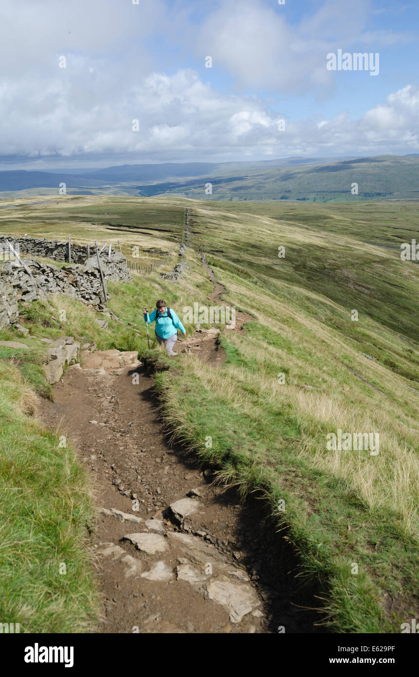 Ein Wanderer auf dem Weg auf Whernside in Yorkshire Dales Stockfoto